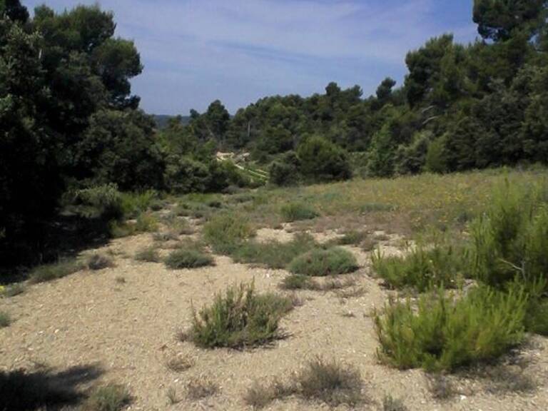 Terrain À Vendre — photo 1