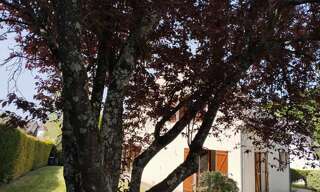 Maison 7 Pièces 170 m² à vendre à Limours (91470)