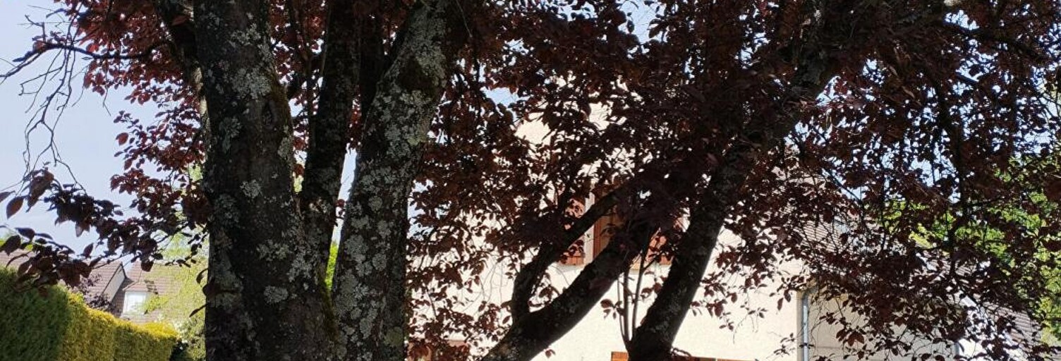 Maison 7 Pièces 170 m² à vendre à Limours (91470)