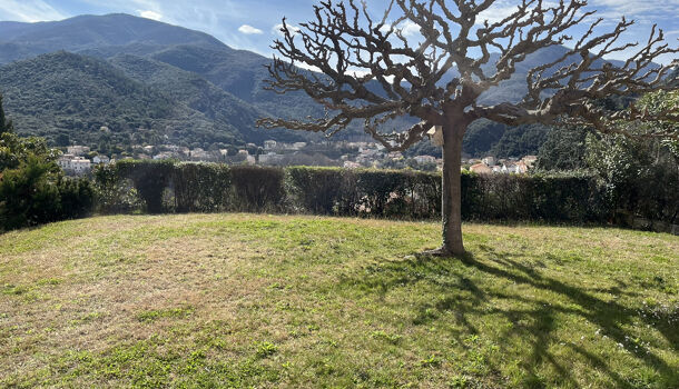 Villa / Maison 5 pièces  à vendre Amélie-les-Bains-Palalda 66110