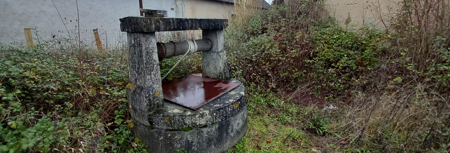 Photo N° 2