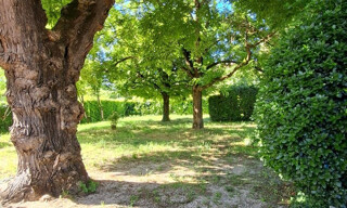 Photo N° 4