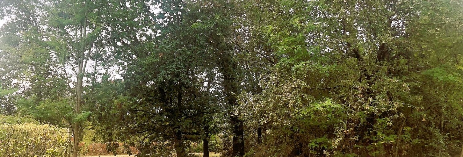 Terrain  572 m² à vendre à Le Taillan-Médoc (33320)