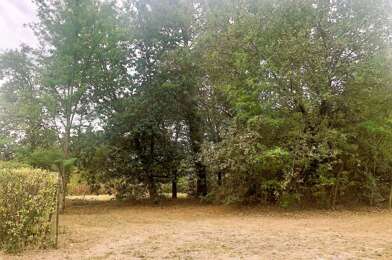 Terrain  249000 €