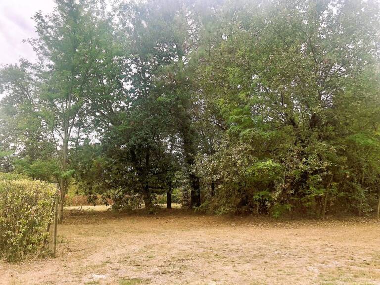 Terrain — photo 1
