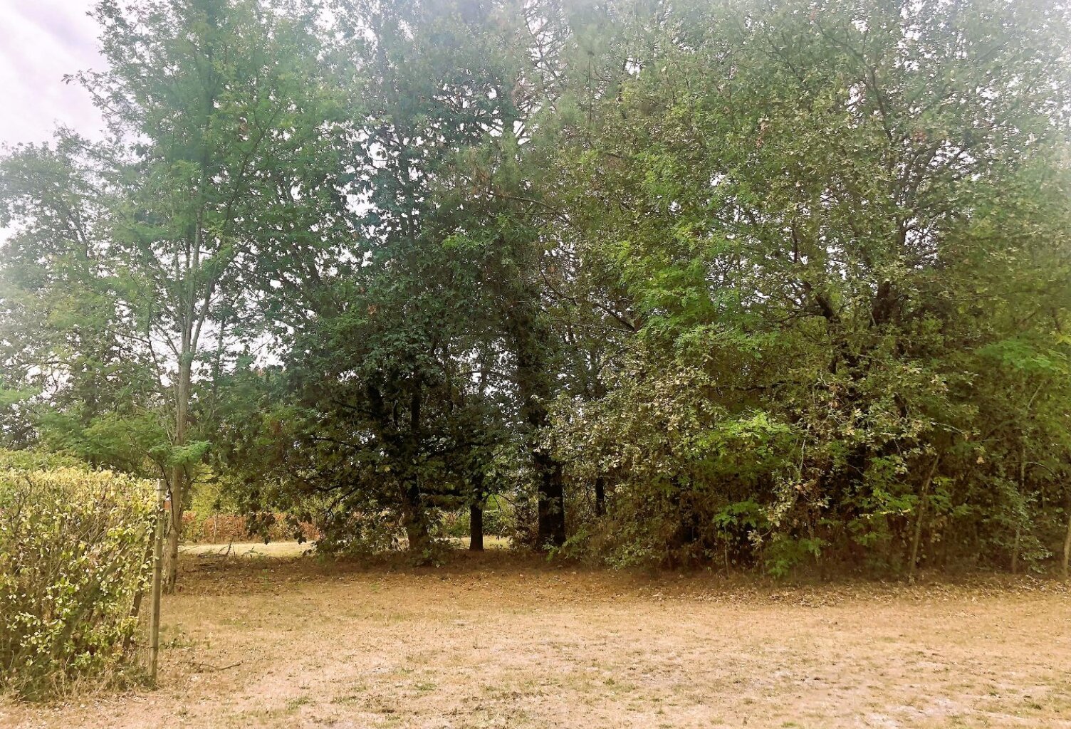 Terrain — photo 1