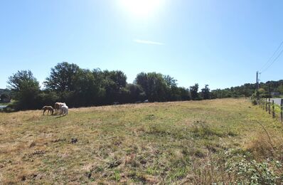 vente terrain 69 000 € à proximité de Saint-Bonnet-l'Enfantier (19410)