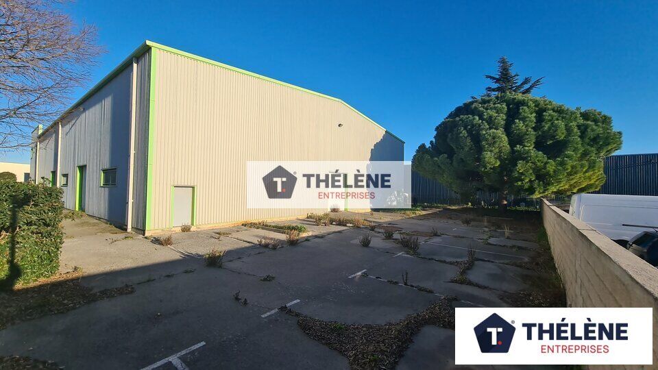 Local commercial  à vendre Mauguio 34130