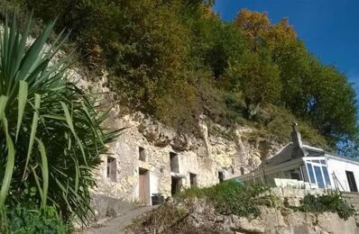 vente maison 105 000 € à proximité de Langeais (37130)