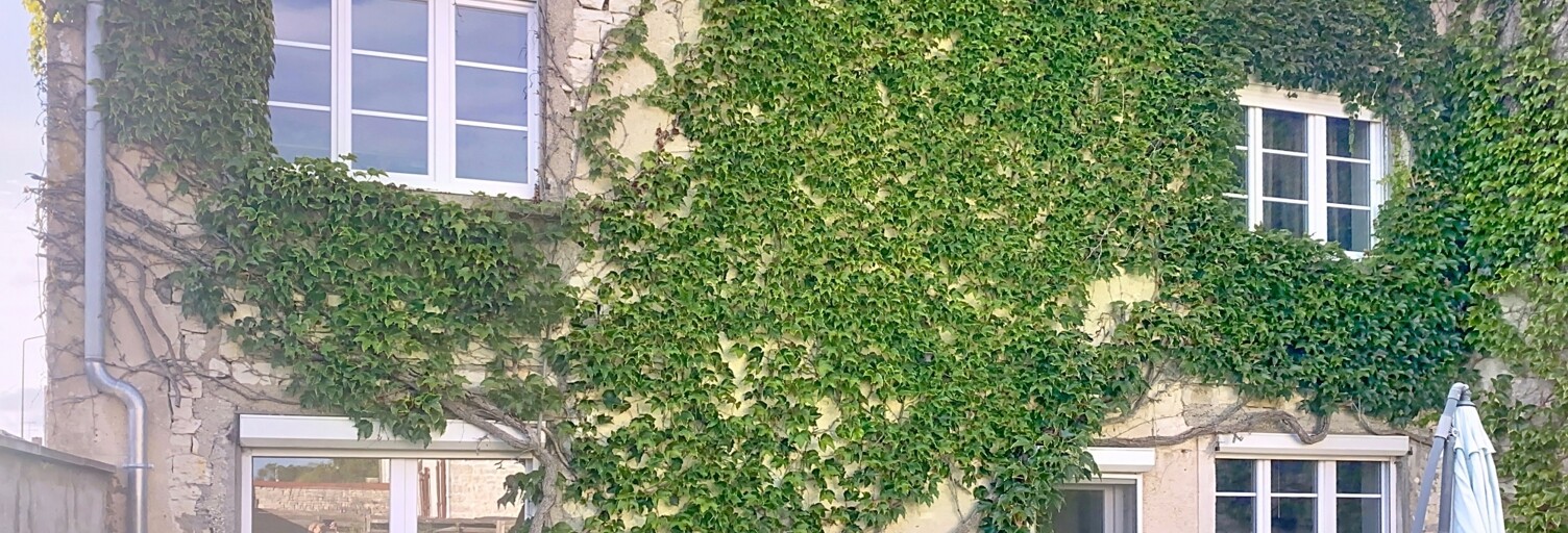 Maison 8 Pièces 188 m² à vendre à Juzennecourt (52330)