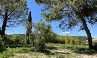 Terrain  1037 m² à vendre à Vacquières (34270)