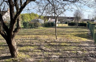 vente terrain 97 000 € à proximité de Fougeres-sur-Bievre (41120)