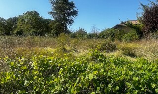 Terrain  2000 m² à vendre à Montcaret (24230)