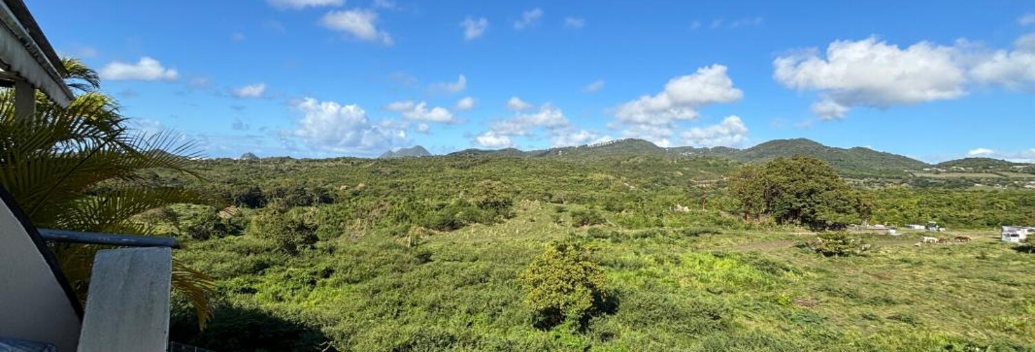 Appartement 3 Pièces 75 m² à vendre à Sainte-Luce (97228)