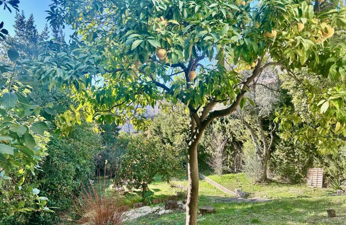Villa Cimiez 6 pièces . Jardin 1000 m2 — photo 5