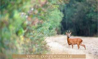 Maison 25 Pièces 800 m² à vendre à Sennely (45240)