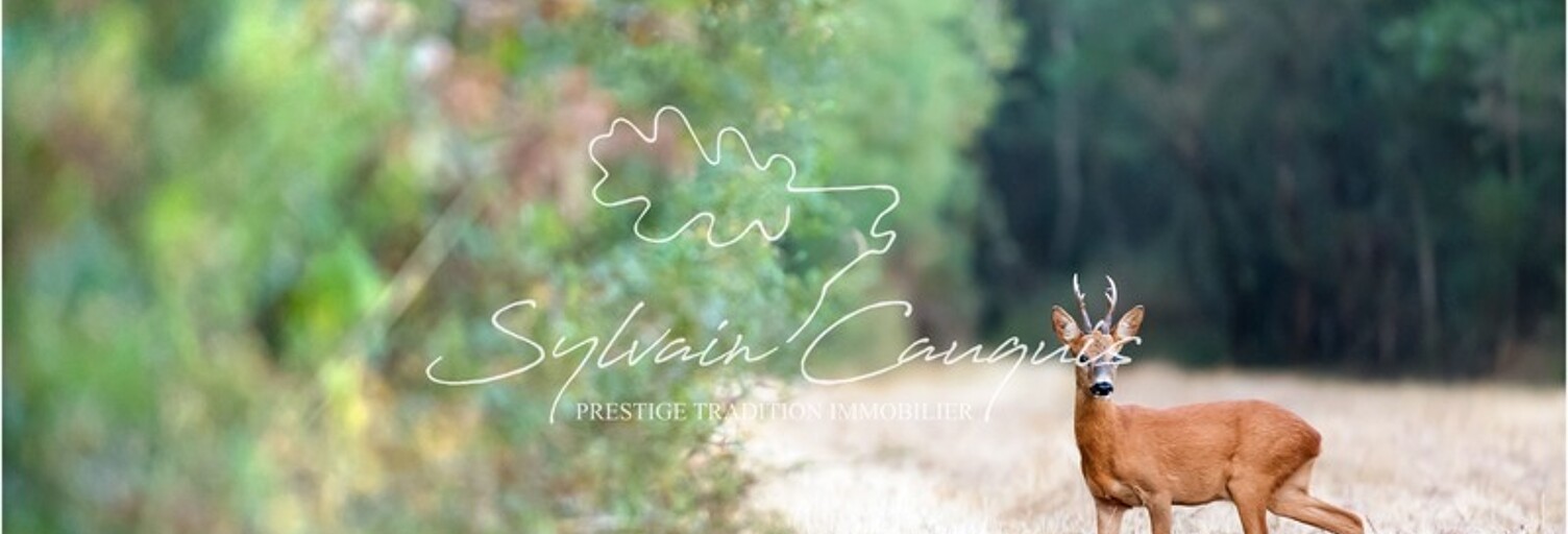 Maison 25 Pièces 800 m² à vendre à Sennely (45240)