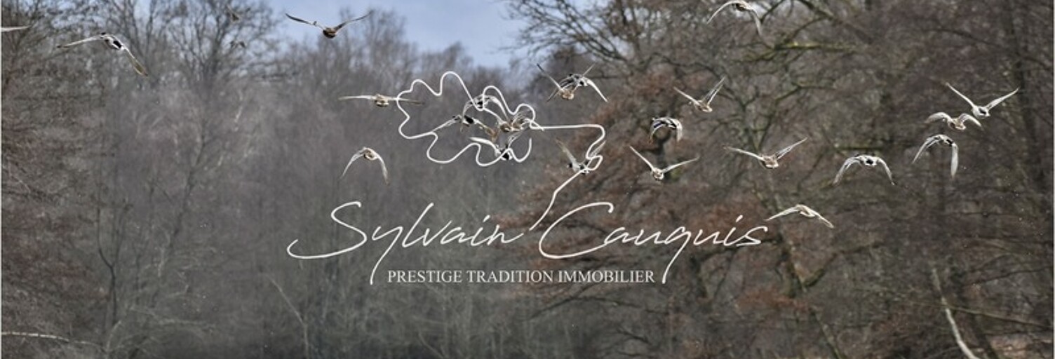 Maison 25 Pièces 800 m² à vendre à Sennely (45240)