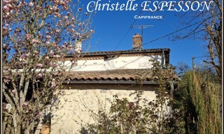Photo N° 4
