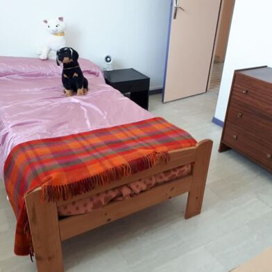 Appartement 1 pièces 350 €