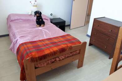 Appartement 1 pièces 350 €