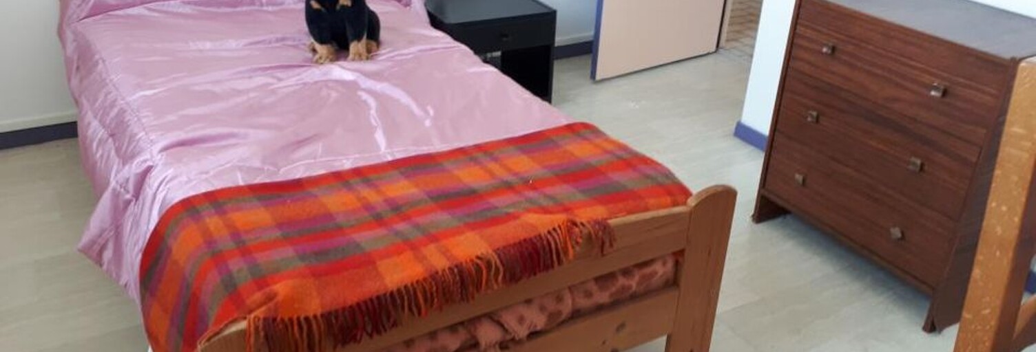 Appartement 1 Pièce 9 m² à louer à Grenoble (38000)