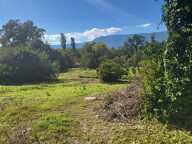TERRAIN A BATIR AVEC VUE DEGAGEE — photo 2