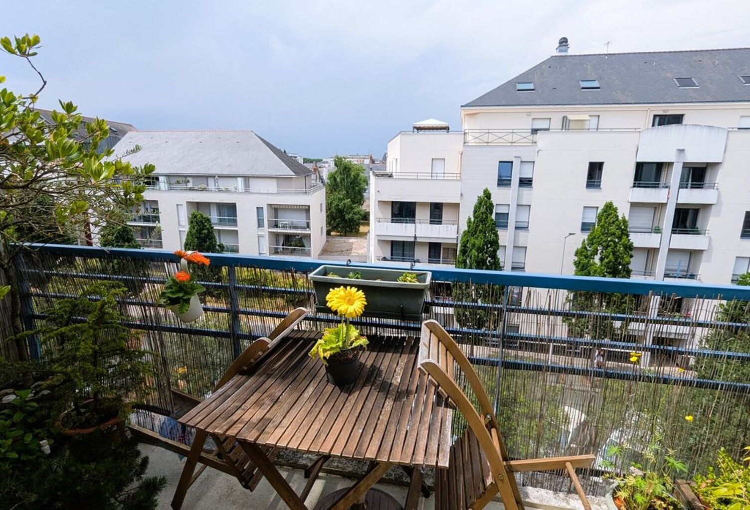 Secteur Ney - Jardins des plantes — photo 1
