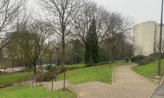 Photo N° 3