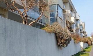 Appartement 1 Pièce 26 m² à vendre à Pontoise (95000)