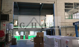 Photo N° 6