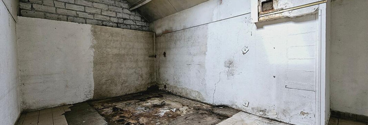 Maison 9 Pièces 285 m² à vendre à Saint-Doulchard (18230)