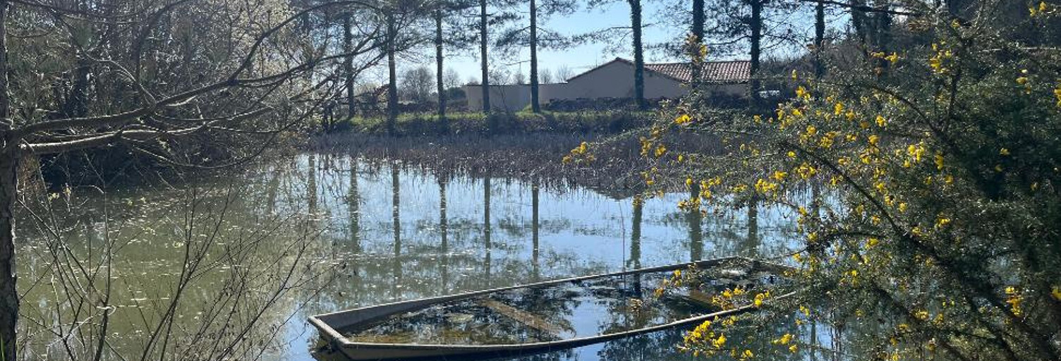 Terrain  4184 m² à vendre à Talmont-Saint-Hilaire (85440)