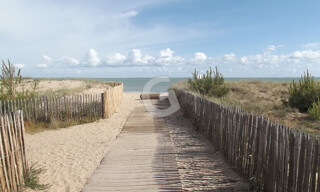 Photo N° 7
