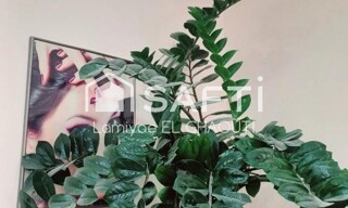 Photo N° 3