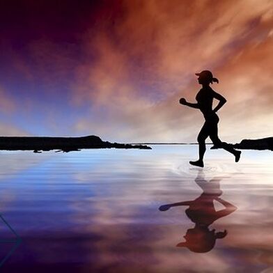 Commerce  144280 €