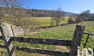 Photo N° 3