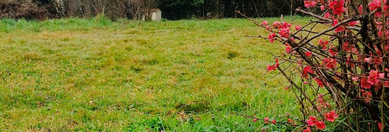 Terrain  661 m² à vendre à Saint-Nauphary (82370)