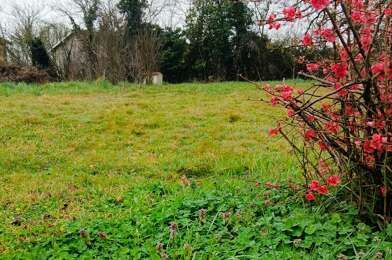 Terrain  50000 €