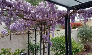 Photo N° 3