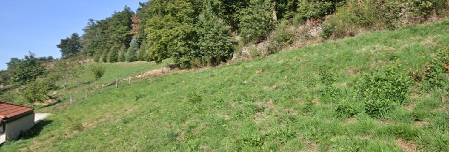 Terrain  655 m² à vendre à Pomeys (69590)