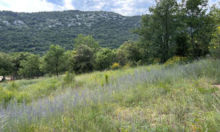 Terrain  1331 m² à vendre à Saint-Martin-d'Ardèche (07700)