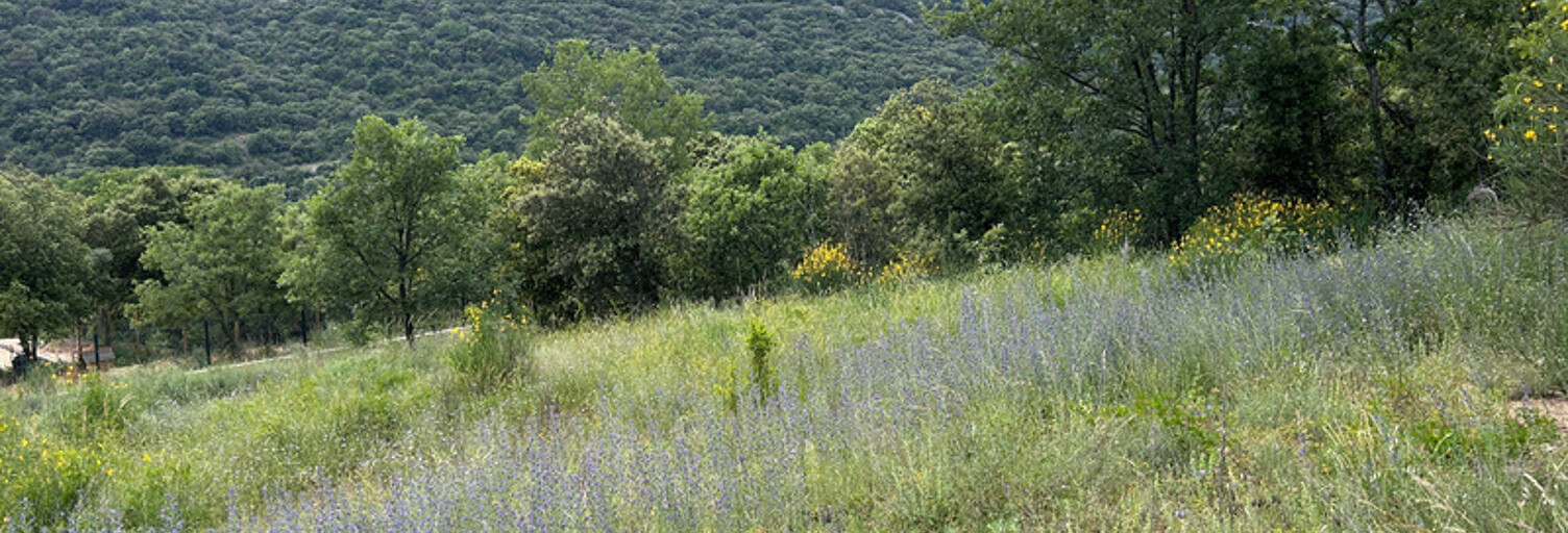 Terrain  1331 m² à vendre à Saint-Martin-d'Ardèche (07700)