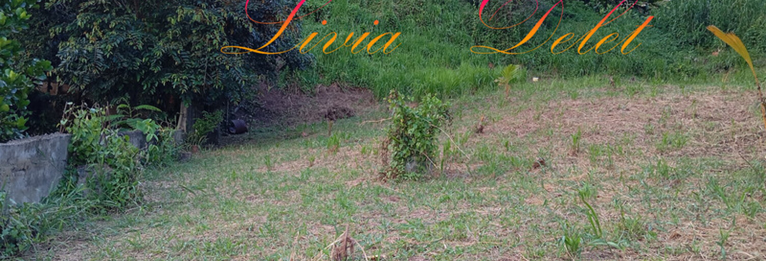 Terrain  900 m² à vendre à Le Robert (97231)