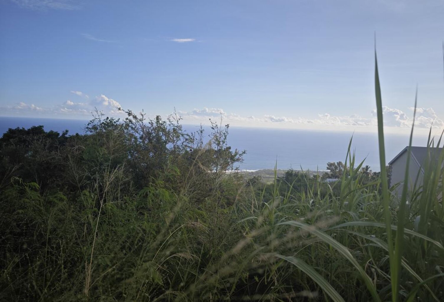 Terrain constructible de 1145m² à Piton Saint-Leu — photo 1