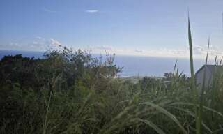 Terrain  1859 m² à vendre à Saint-Leu (97424)