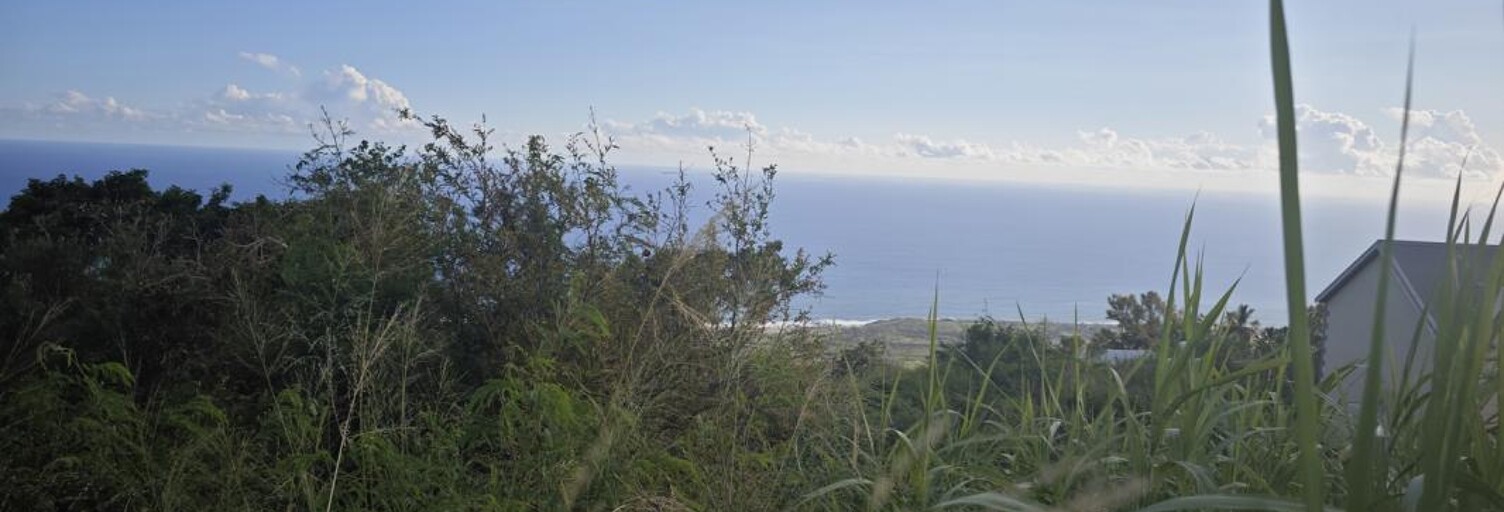 Terrain  1859 m² à vendre à Saint-Leu (97424)