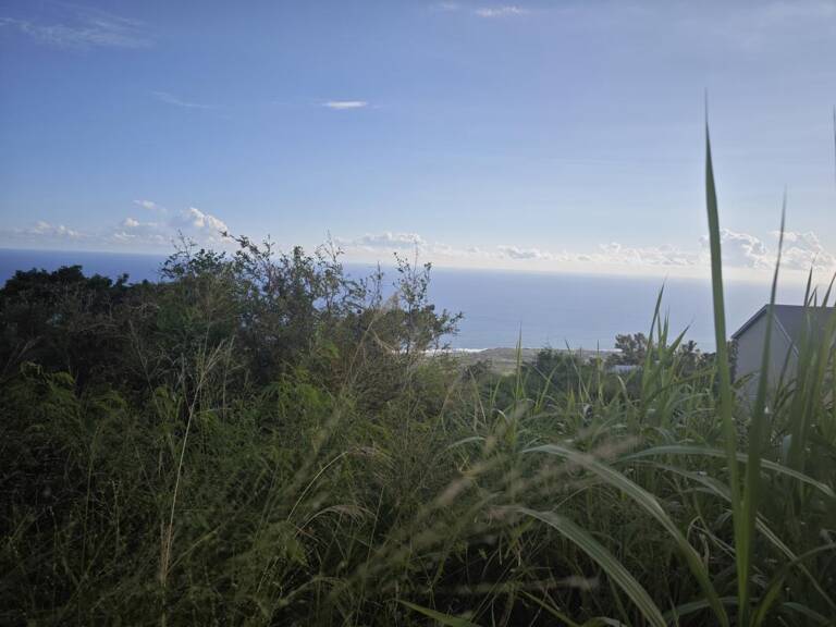 Terrain constructible de 1145m² à Piton Saint-Leu — photo 1