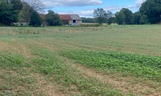 Maison 5 Pièces 80 m² à vendre à Milhac-de-Nontron (24470)