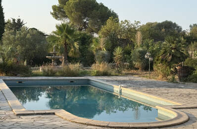 Villa indépendante de 300m2 ,  piscine ,cave à vin, oliverai — photo du bien
